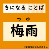 知ってる⁈梅雨のヒミツ。「梅雨」ってなぁに⁈